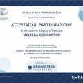 Ingrandire l'immagine: certificate 6