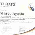Ingrandire l'immagine: certificate 7