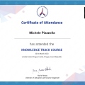 Ingrandire l'immagine: certificate 1