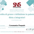 Ingrandire l'immagine: certificate 23