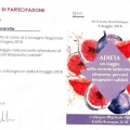 Ingrandire l'immagine: certificate 20