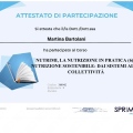 Ingrandire l'immagine: certificate 4