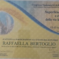 Ingrandire l'immagine: certificate 10