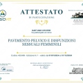 Ingrandire l'immagine: certificate 1