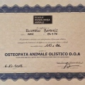 Ingrandire l'immagine: certificate 3