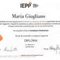 Ingrandire l'immagine: certificate 3