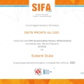 Ingrandire l'immagine: certificate 7