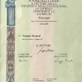 Ingrandire l'immagine: certificate 1