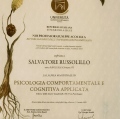 Ingrandire l'immagine: certificate 3