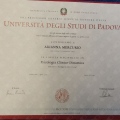 Ingrandire l'immagine: certificate 1