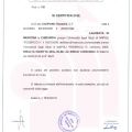 Ingrandire l'immagine: certificate 1