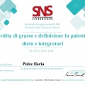 Ingrandire l'immagine: certificate 2