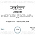 Ingrandire l'immagine: certificate 11