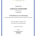 Ingrandire l'immagine: certificate 2