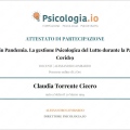 Ingrandire l'immagine: certificate 3