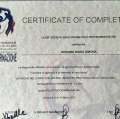 Ingrandire l'immagine: certificate 4