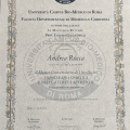 Ingrandire l'immagine: certificate 2