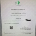 Ingrandire l'immagine: certificate 2