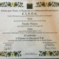 Ingrandire l'immagine: certificate 1