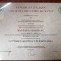 Ingrandire l'immagine: certificate 1