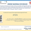 Ingrandire l'immagine: certificate 7