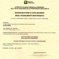 Ingrandire l'immagine: certificate 2