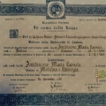 Ingrandire l'immagine: certificate 1