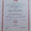 Ingrandire l'immagine: certificate 1