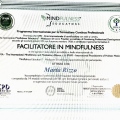 Ingrandire l'immagine: certificate 13