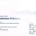 Ingrandire l'immagine: certificate 6