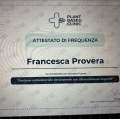 Ingrandire l'immagine: certificate 6