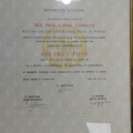 Ingrandire l'immagine: certificate 1