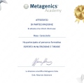Ingrandire l'immagine: certificate 4