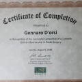 Ingrandire l'immagine: certificate 6