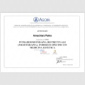Ingrandire l'immagine: certificate 1
