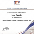 Ingrandire l'immagine: certificate 1