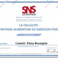 Ingrandire l'immagine: certificate 1