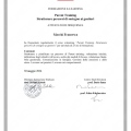 Ingrandire l'immagine: certificate 1