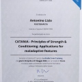 Ingrandire l'immagine: certificate 2
