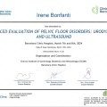 Ingrandire l'immagine: certificate 2