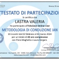 Ingrandire l'immagine: certificate 8