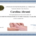 Ingrandire l'immagine: certificate 4