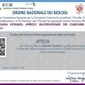 Ingrandire l'immagine: certificate 6