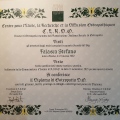 Ingrandire l'immagine: certificate 1