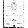 Ingrandire l'immagine: certificate 1
