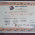 Ingrandire l'immagine: certificate 6