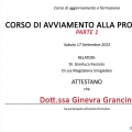 Ingrandire l'immagine: certificate 3