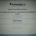 Ingrandire l'immagine: certificate 2