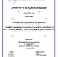 Ingrandire l'immagine: certificate 12