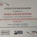 Ingrandire l'immagine: certificate 2